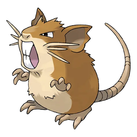 Raticate